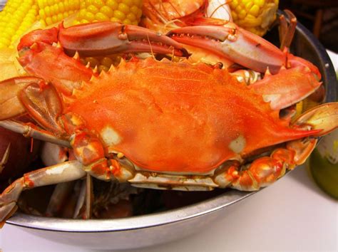 Storming crab youngstown - Welcome to Boil Cajun Seafood Storming Crab at Youngerstown. Discover Our Story At Storming Crab, everything is prepared with high quality, rich taste and fresh food waiting for you to be served. 